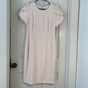 Blush Calvin Klein tulip sleeve dress sz 12